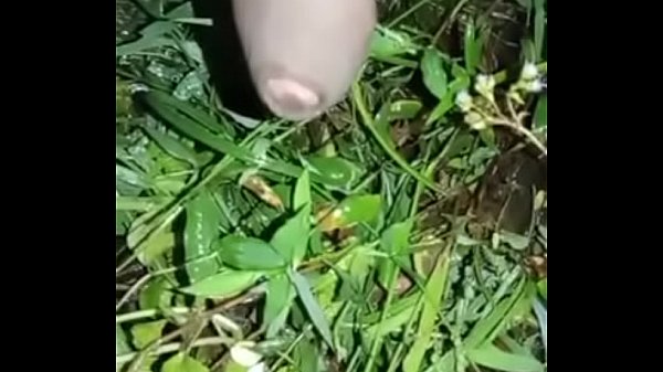 Cream pie Handjob and masturbation
