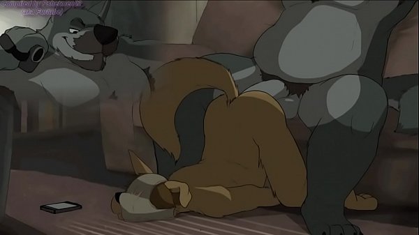 gay furry porn animation compilation